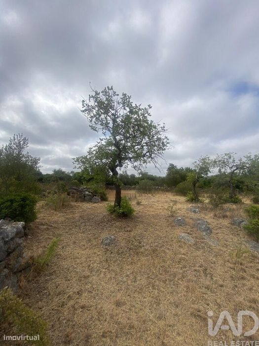 Terreno em Santa Catarina da Fonte do Bispo de 10000,00 m2