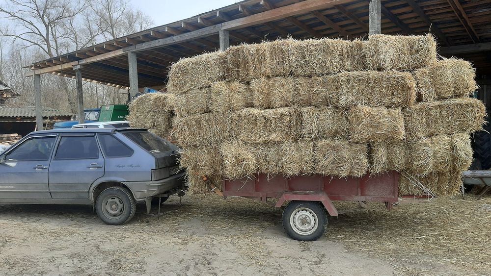 Сіно лугове тюковане, солома овсяна тюкована