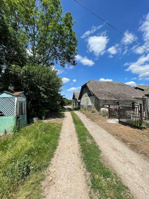 Приватний будинок, із садом та власним городом