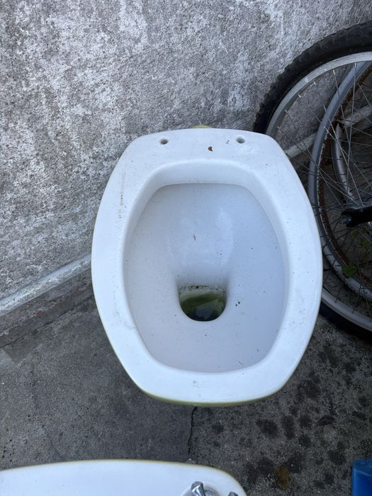 Sanita + bide verde