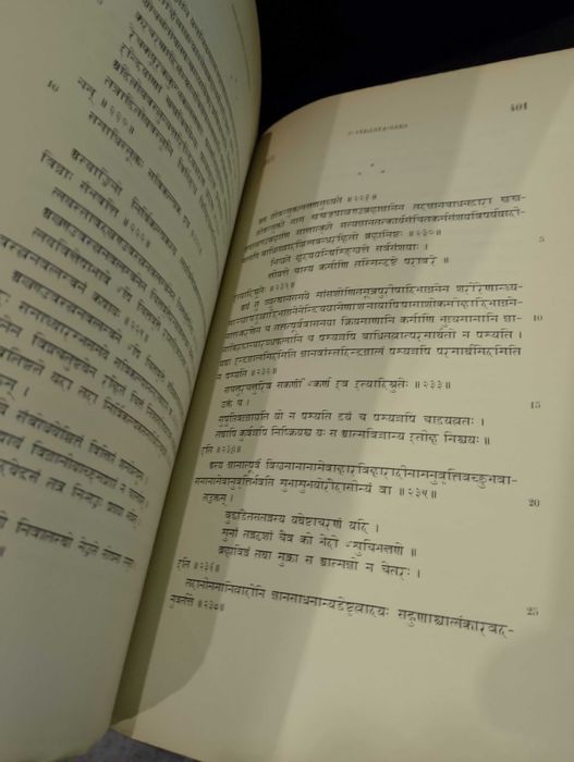 Manual Estudo do Sãoskrito Clássico 1881/1891 G. de Vasconcellos Abreu
