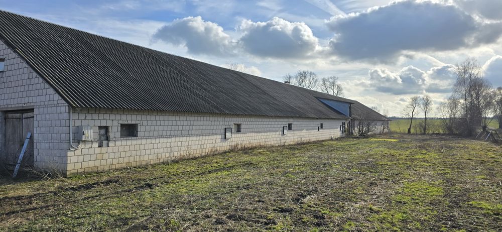 Budynek gospodarczy(kurnik)