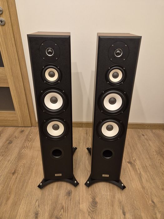 STX Electrino 250 orzech