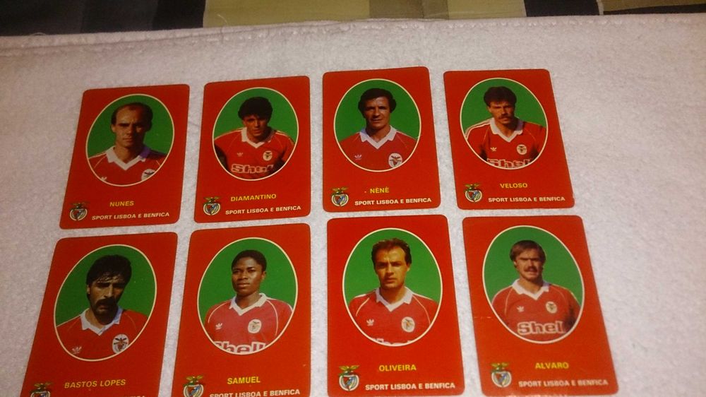 benfica (16 calendários) coleção força vermelha