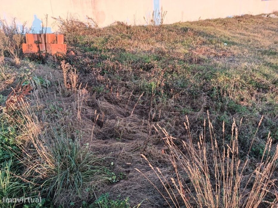 Lote de terreno Aradas - Quinta do Picado