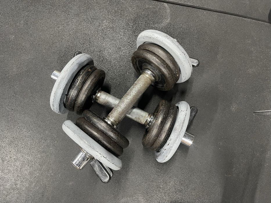 Halteres ajustáveis – 2 pares