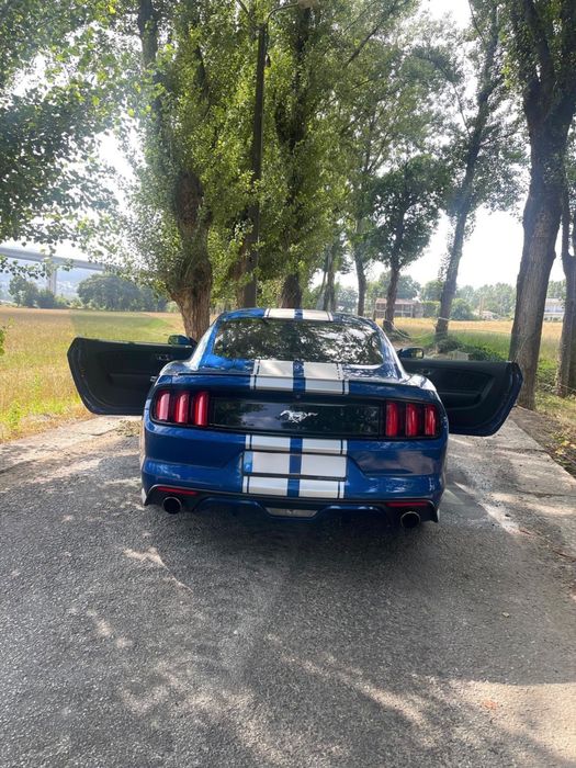 Ford Mustang ecoboost 2.3 auto 317 cv
