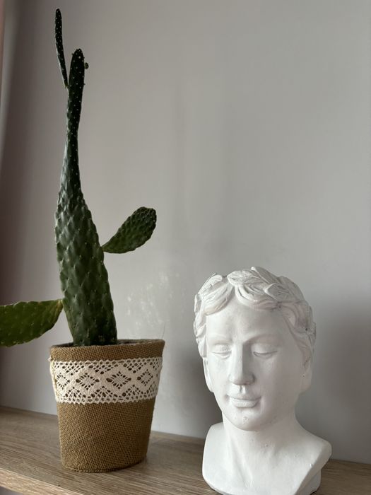 Gipsowa głowa figura