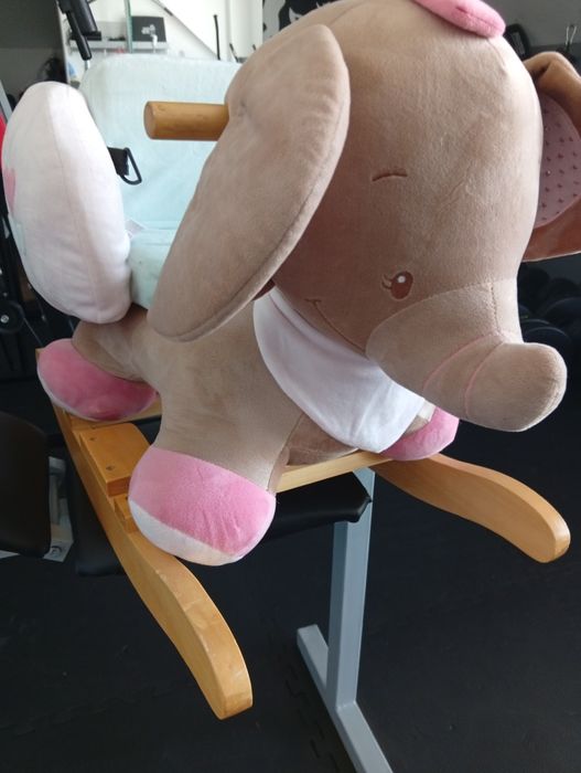 Słonik na biegunach