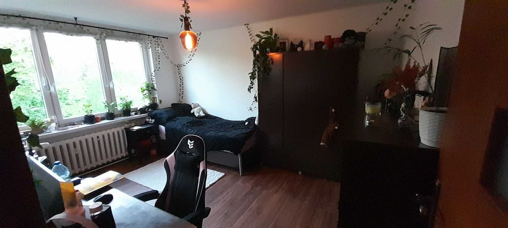 3 pok. Mikuszowice Śl, ok. Błonie, Olszówka, ATH