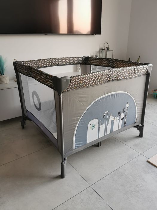 Kojec lionelo 100x100