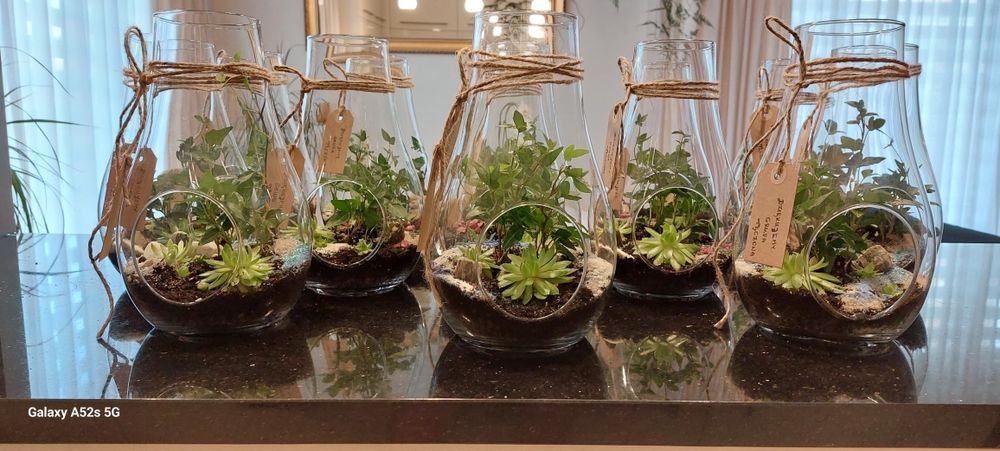 Las w szkle - mikroklimat