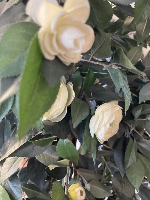 Декоративне дерево 180см