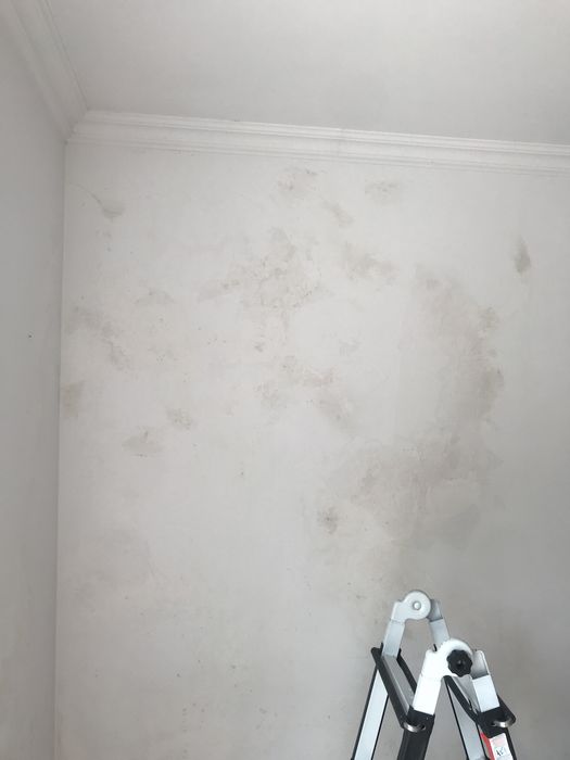 Pladur, pinturas exterior, interior