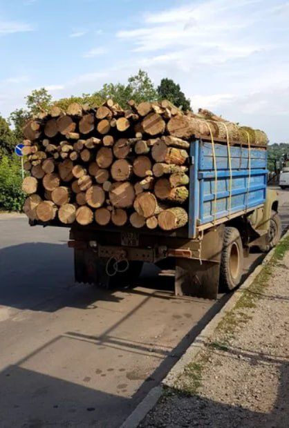Пряма доставка дубових дров без передплат і посередників. (6-20 м3)