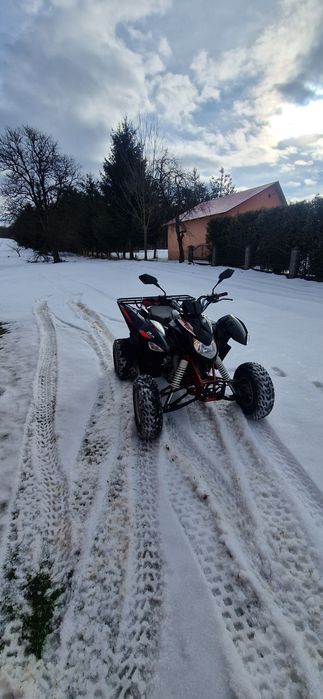 Lucky star 250 , homologacja