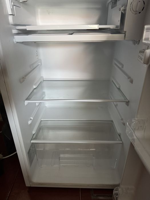 Frigorifico e Arca Congeladora Vertical