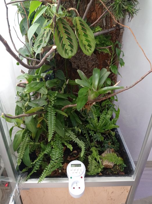 Timer, programator sekundowy, włacznik precyzyjny do terrarium, zrasza