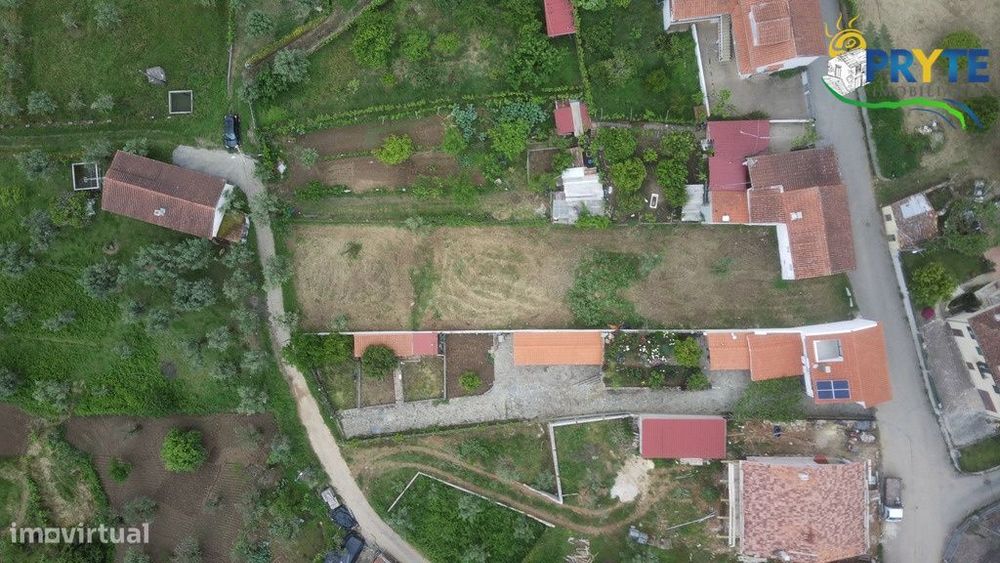 Terreno para construção plano com oliveiras situada a 2 km da Sertã — Sertã, Castelo Branco