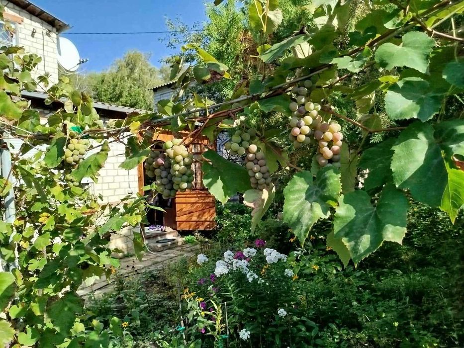 Своя дача в хорошем месте под Харьковом