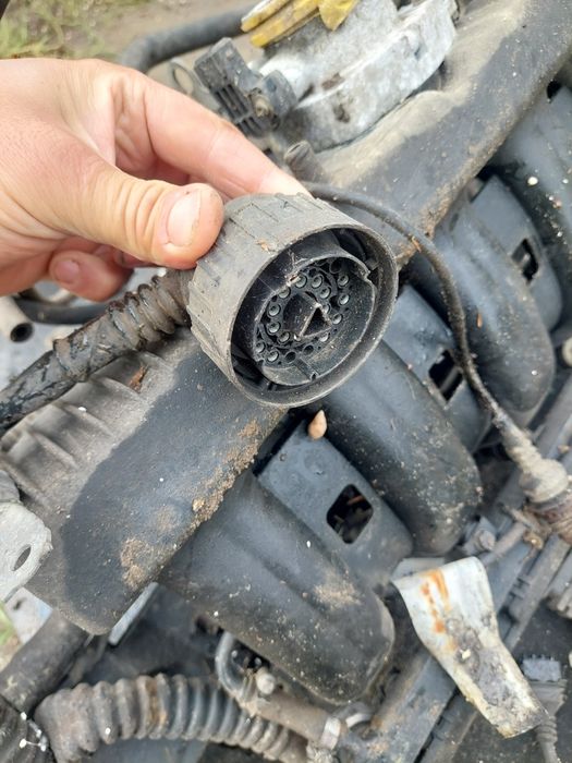 wiazka instalacja elektryka kable silnika bmw m50 e36 bmw