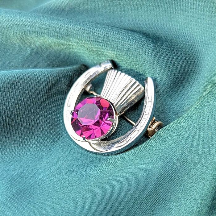 Вінтажна брошка-амулет "Підкова з чортополохом"