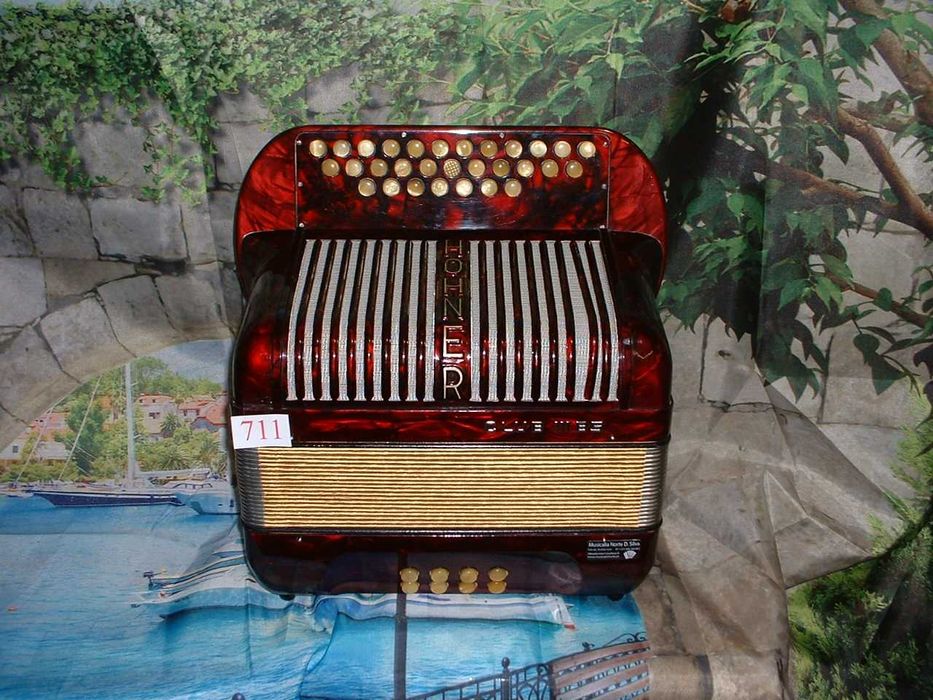 Promoção de Acordeões e  concertinas em lote