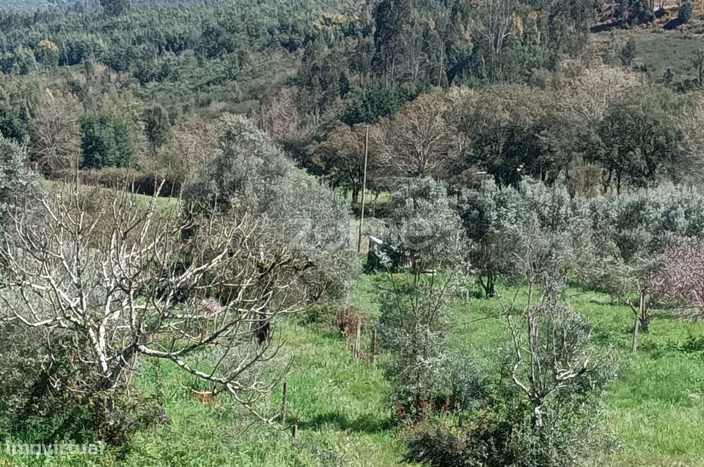 Terreno misto c/ 2100 m2 sendo 625 m2 urbanos | V.N.Poiares