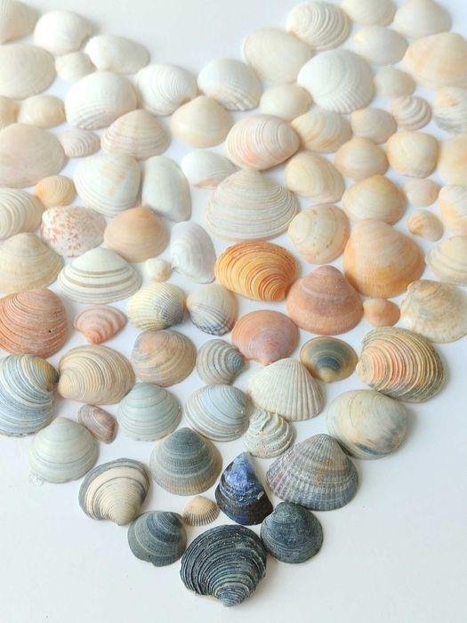 Quadro de coração em conchas naturais – peça única feita à mão