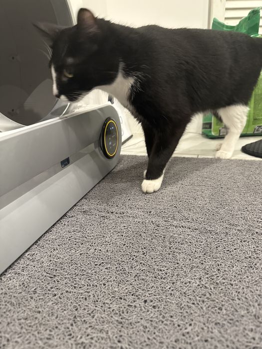 Wycieraczka pod kuwete dla kota