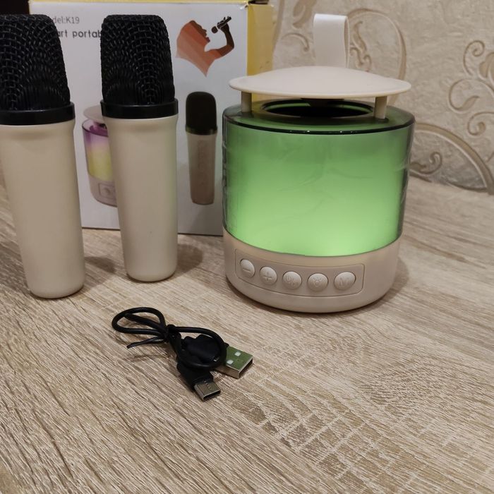 Караоке Bluetooth колонка із двома мікрофонами