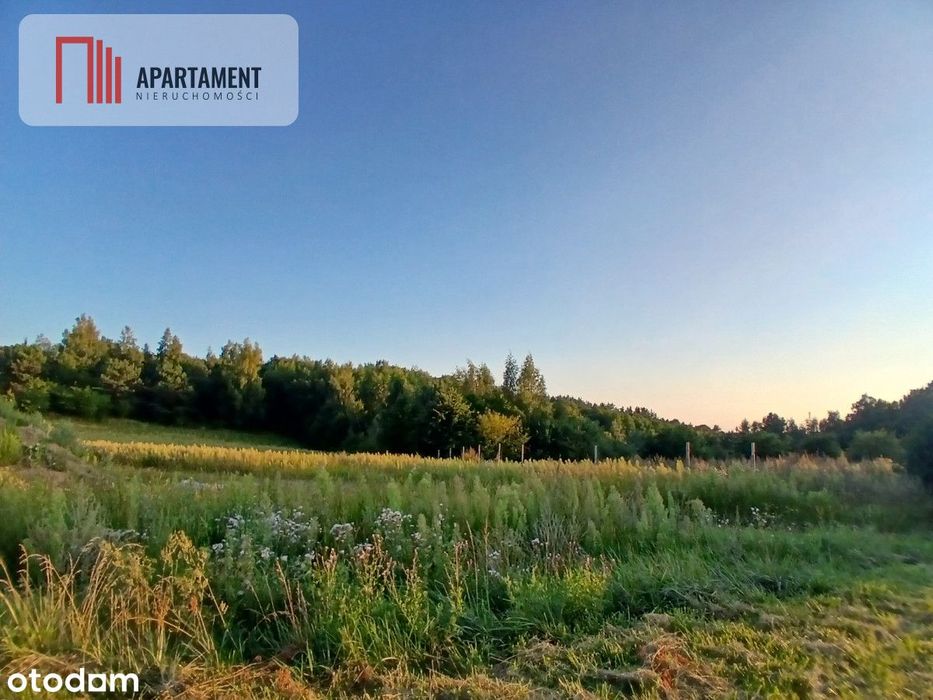 Dzialka budowlana blisko Kurzej Göry