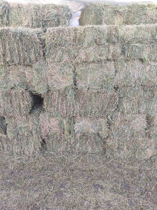 Сіно в тюках