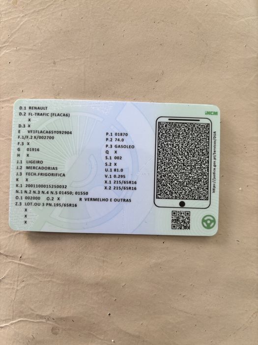 Renalt trafic DC100