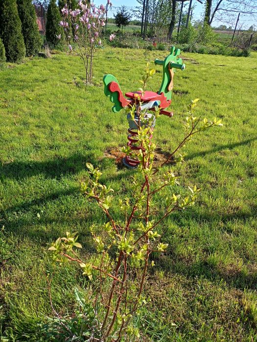 Sprzedam działkę na ogródkach działkowych ROD OZMO