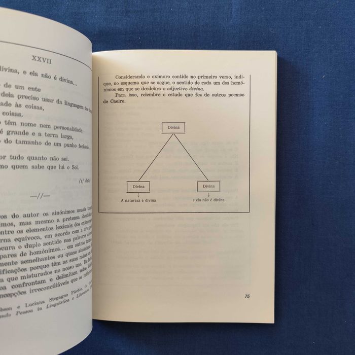 Maria Manuela Nora - A Geração de Orpheu