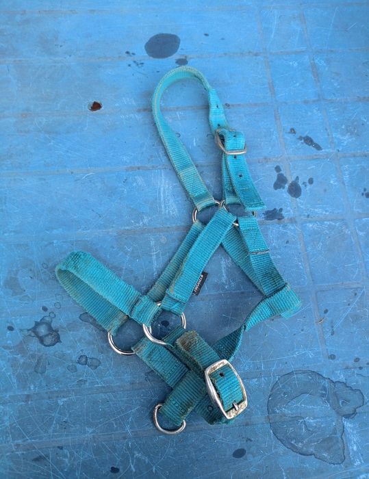 Kantary kilka sztuk! Pony/ shetty