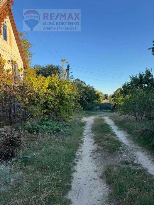 Земля, де ідея швидше стає грошима