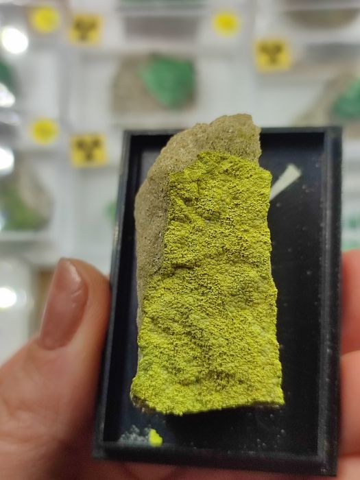 Minerał uranowy do kolekcji tyujamunit