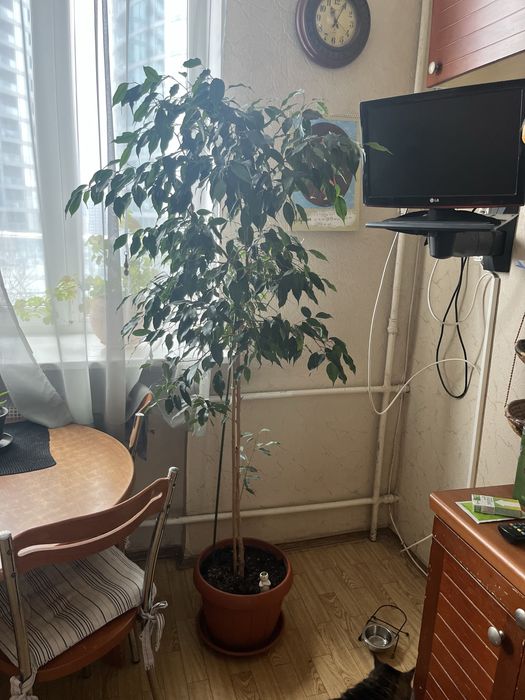 3-кімнатна квартира за адресою вул. Іоанна Павла II (площа 76,7 м²) - Atlanta.ua - фото 5