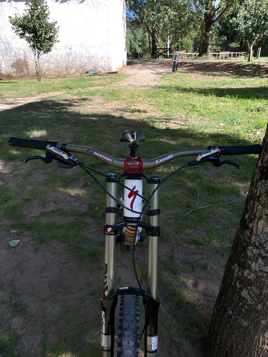 Specialized Status 2