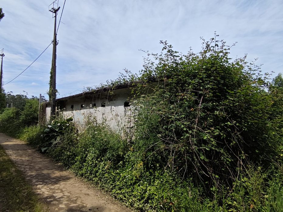 Arrendo terreno vedado