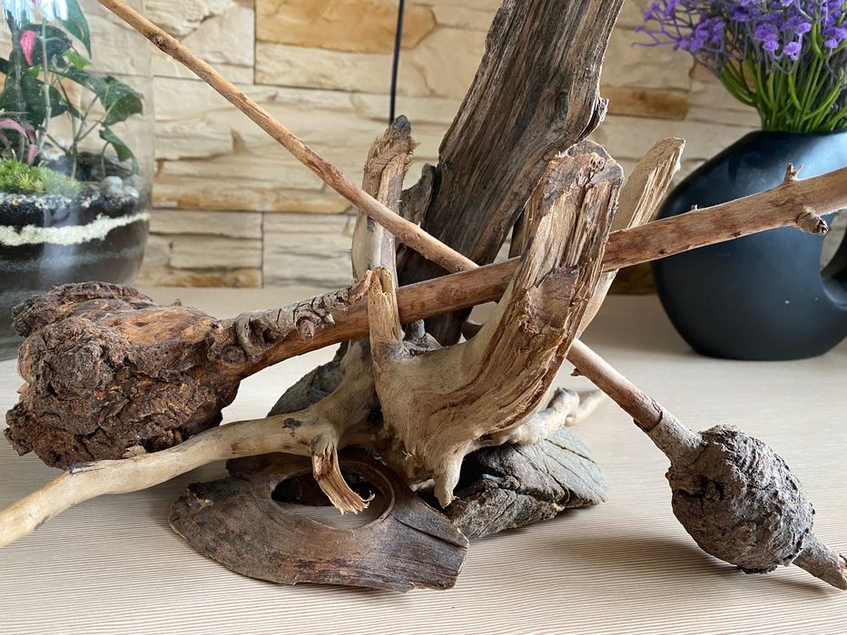 Hardscape korzenie aranżacja akwarium