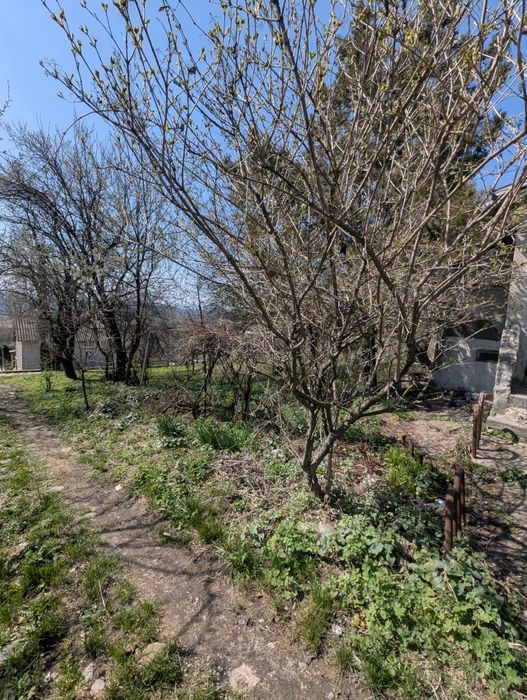 Продається дача на цецино