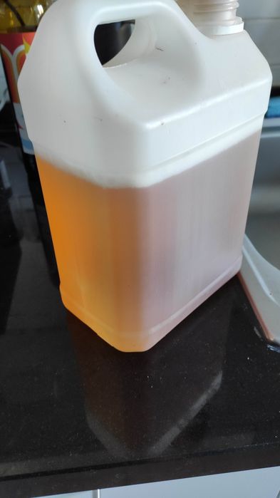 vespa asiática ou velutina liquido atractivo oeiras