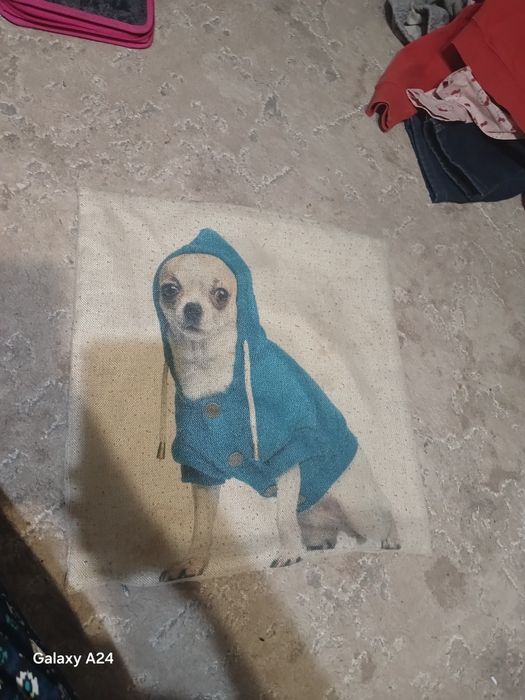 Продам наволочку з чіхуа хуа