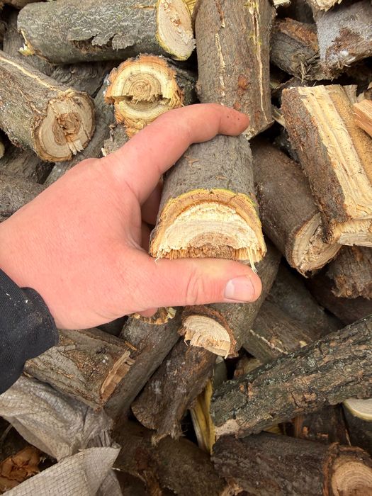 Дроблёная ветка, дрова щепа метровка дуб акация