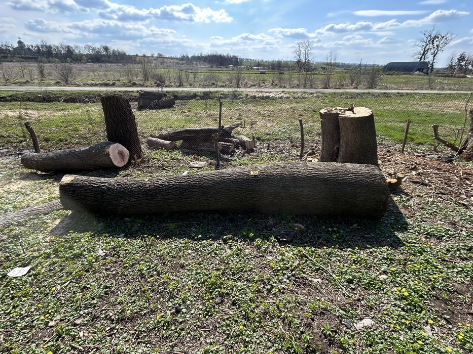 Продам дрова Ясень і вербу