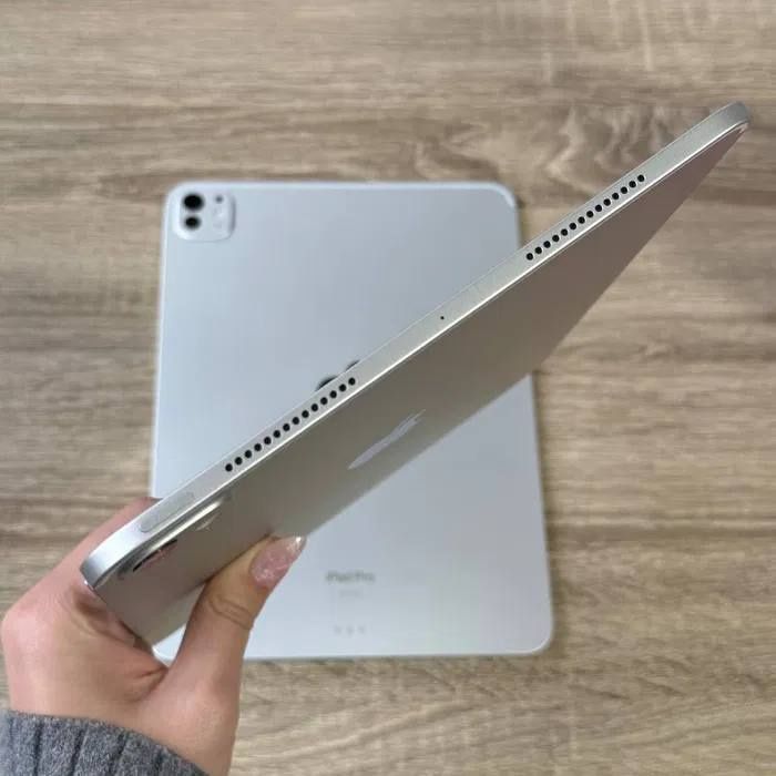 iPad Pro 11 m4 256 WiFi + lte