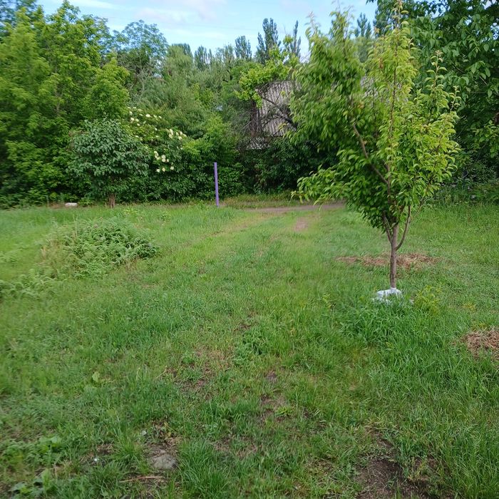 Сдам в аренду дом